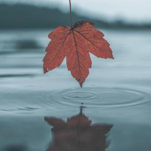 Z〇Z○女人另类Z〇Zo
