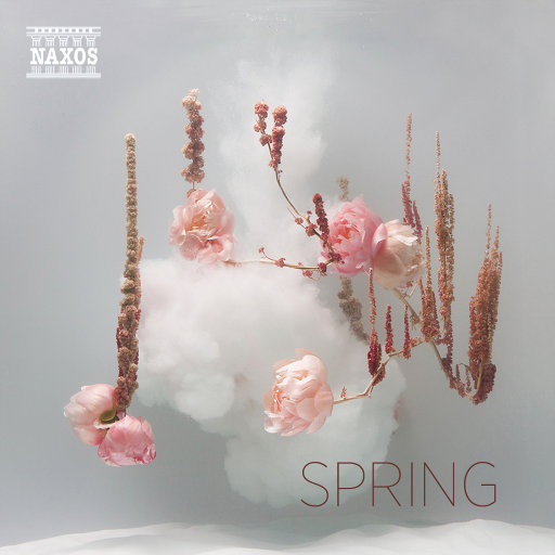 Z〇Z○女人另类Z〇Zo
